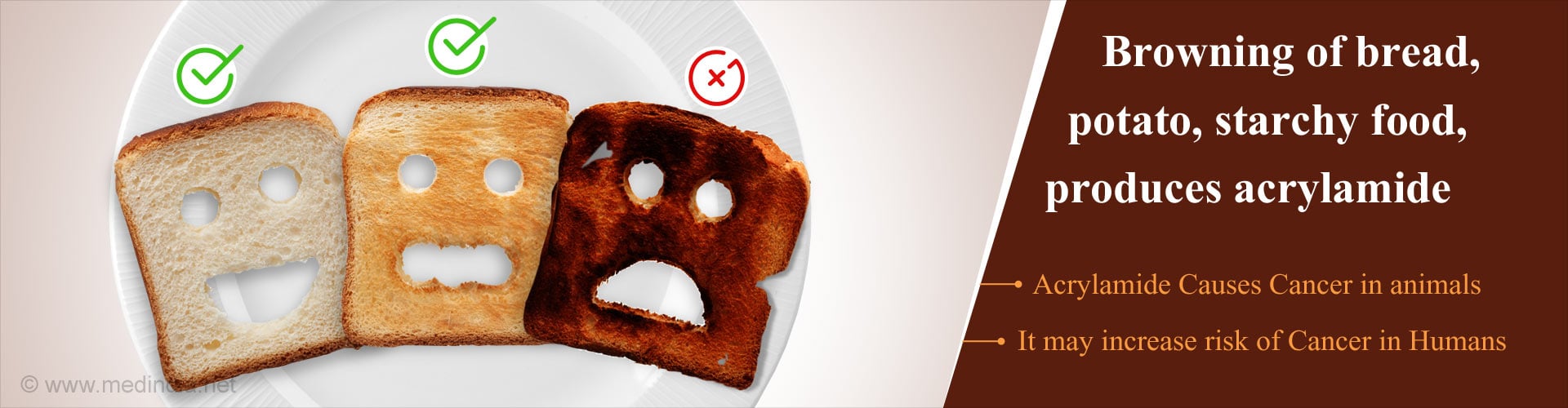 Roasted Potatoes, Browned Toast Could Increase Cancer Risk