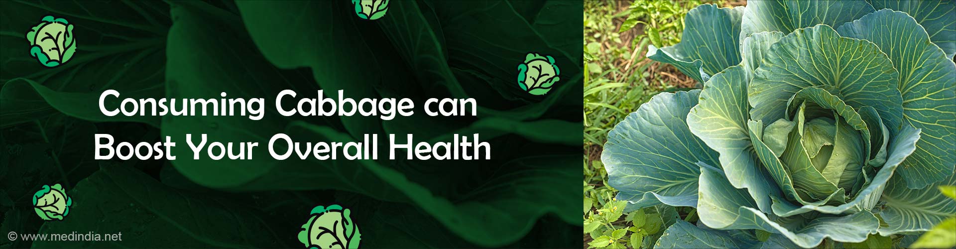 Cabbage- Unlock the Hidden Health Mystery This Winter Season