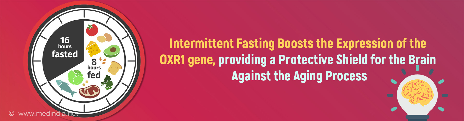 Intermittent Fasting And Caloric Restriction Can Slow Brain Aging