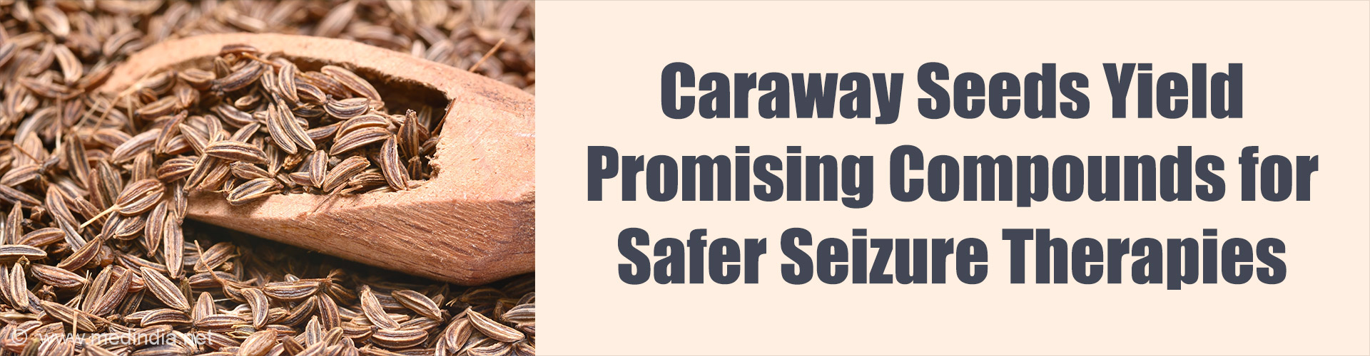 Spice That Fights Seizures: Caraway Promises Seizure Relief for Children Spice That Fights Seizures: Caraway Promises Seizure Relief for Children