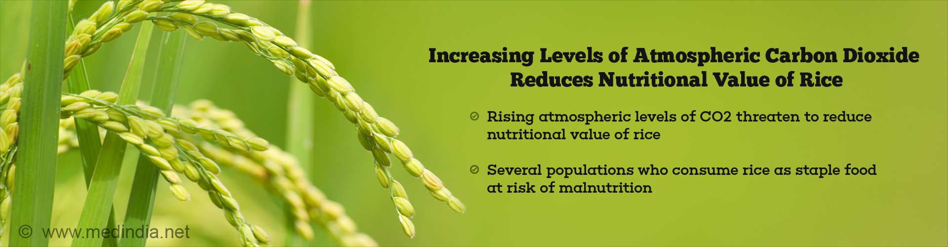 Nutritional Value Of Rice Decreases With Increased Levels Of ...