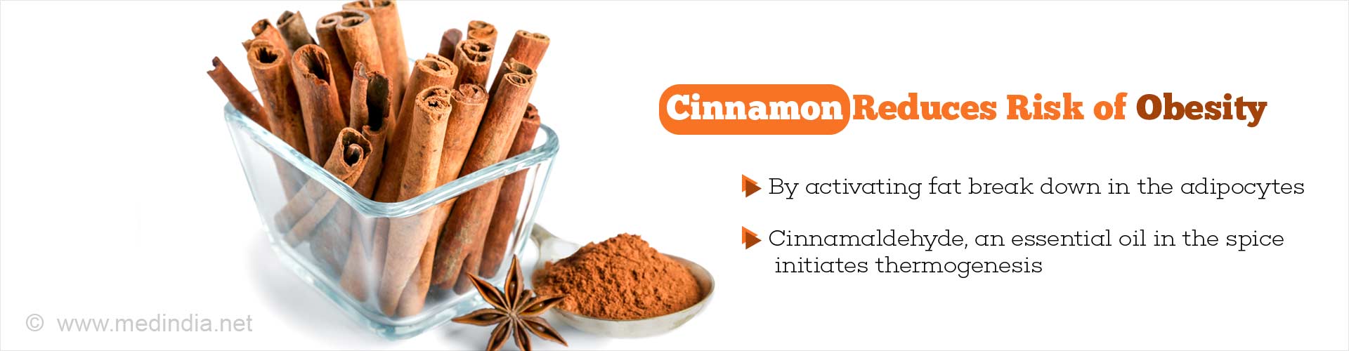 Cinnamon Fights Obesity By Activating Fat Breakdown