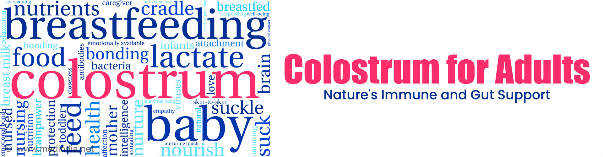 Is Colostrum the Next Big Wellness Supplement for Immunity and Gut Health?