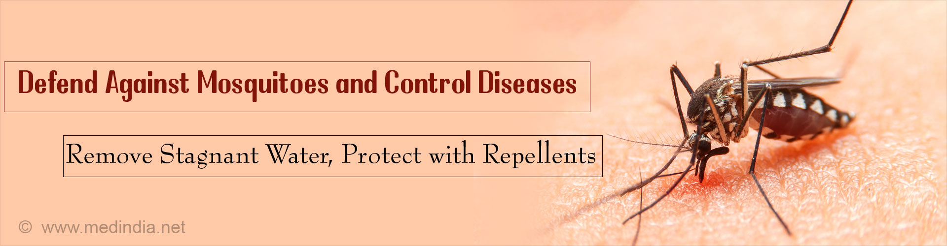 5000 Mosquito Repellents Donated for 'Fight The Bite' Project in Amritsar