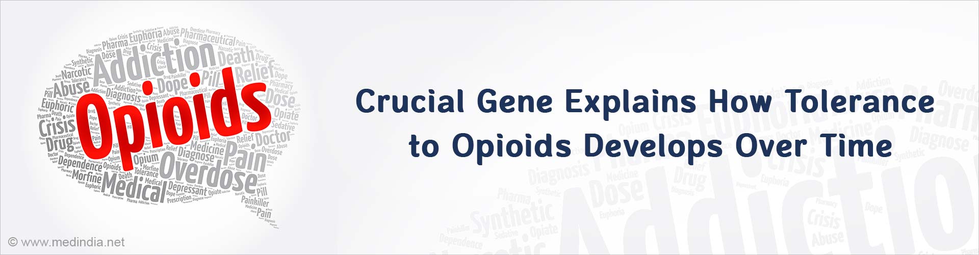 What Causes Opioid Drug Tolerance?