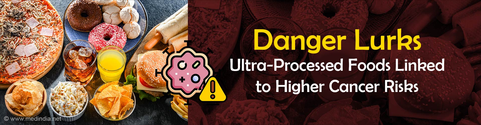 Processed Diets: From Obesity to Cancer Link