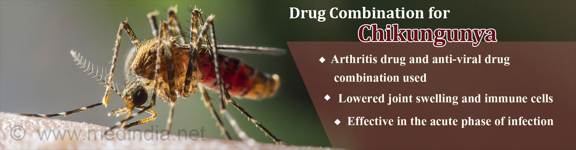 Combining Drug for Virus and Arthritis Found Effective in Chikungunya