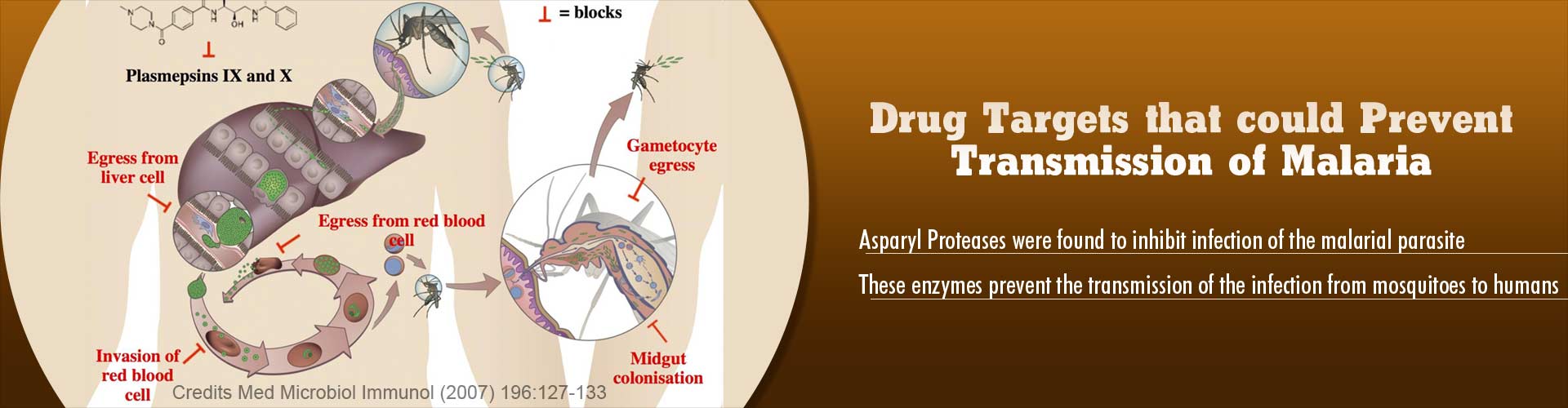 Drug Targets To Fight Disease Resistant Malaria
