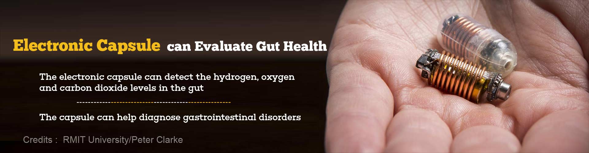 Electronic Capsules Developed to Sense Gases in the Gut