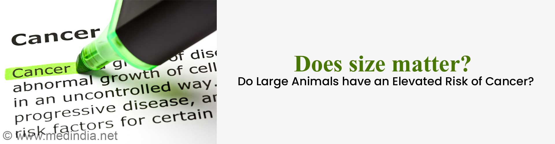 Bigger Bodies, Bigger Cancer Risk? New Study Challenges Old Beliefs