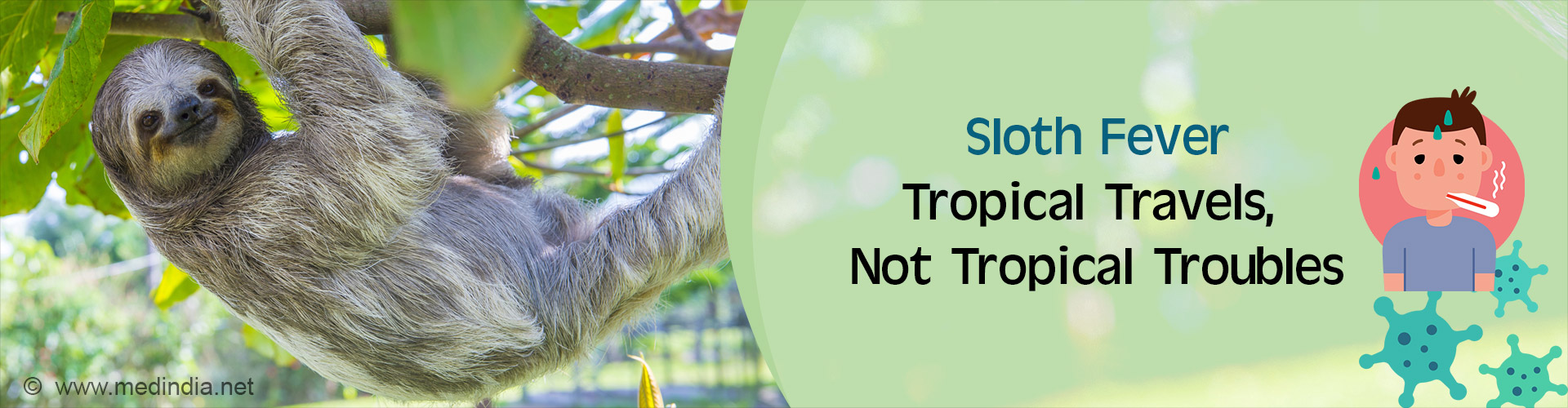 Sloth Fever: The Virus That's Moving Slowly But Surely