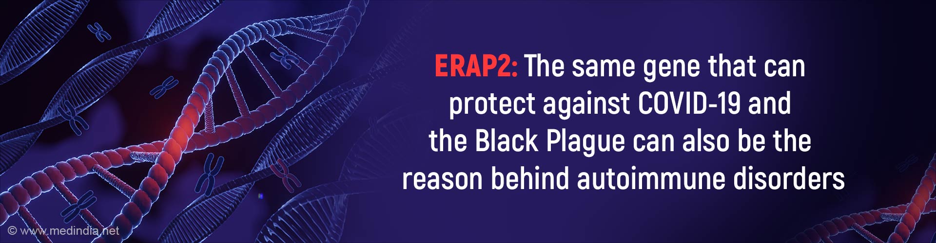 ERAP2 Gene: A Double-Edged Sword?