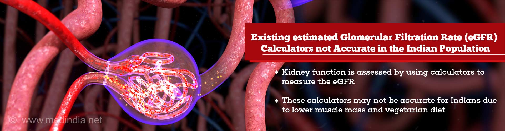 Kidney Function Calculators Not Completely Accurate in the Indian Population