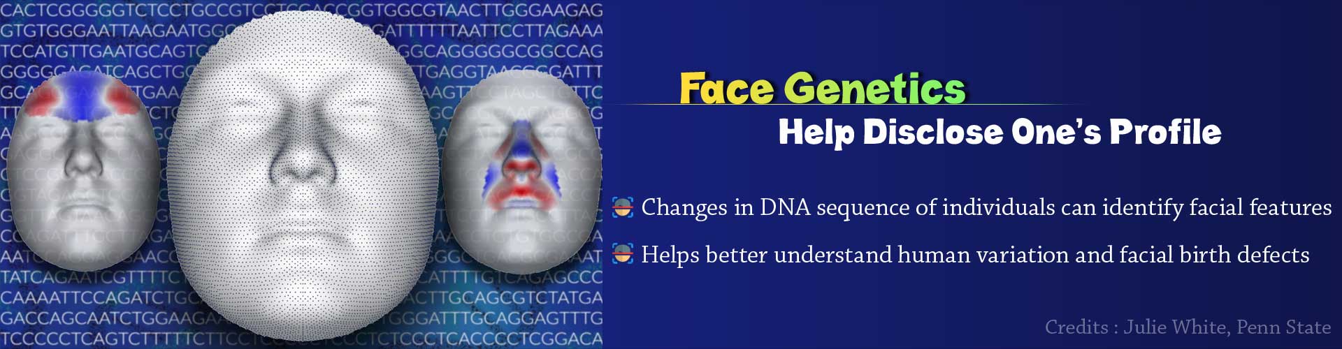 Genetics of Human Face Disclose One’s Profile