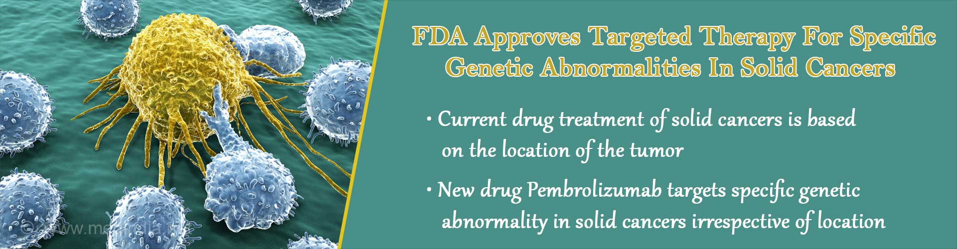 FDA Approves First Drug Targeting Specific DNA Changes In Solid Cancers FDA Approves First Drug Targeting Specific DNA Changes In Solid Cancers