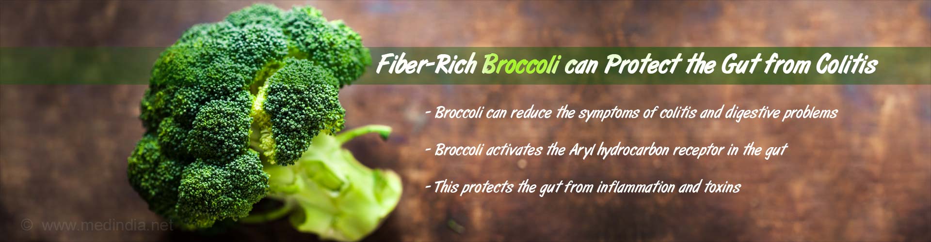 Fiber Rich Broccoli Can Protect the Gut From Colitis