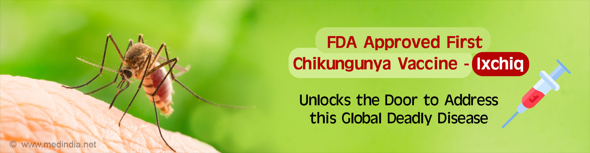 FDA Approves First Vaccine for Chikungunya Virus