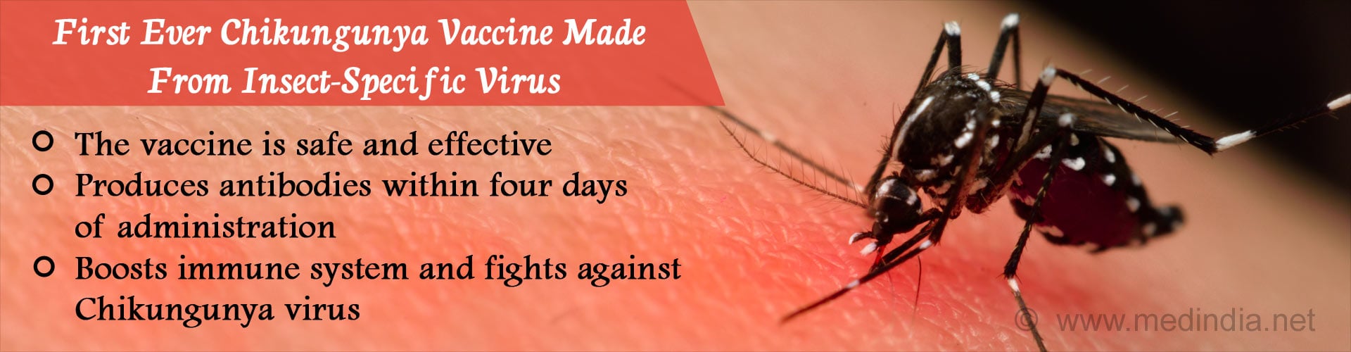 World’s First Chikungunya Vaccine Developed From Insect-Specific Virus