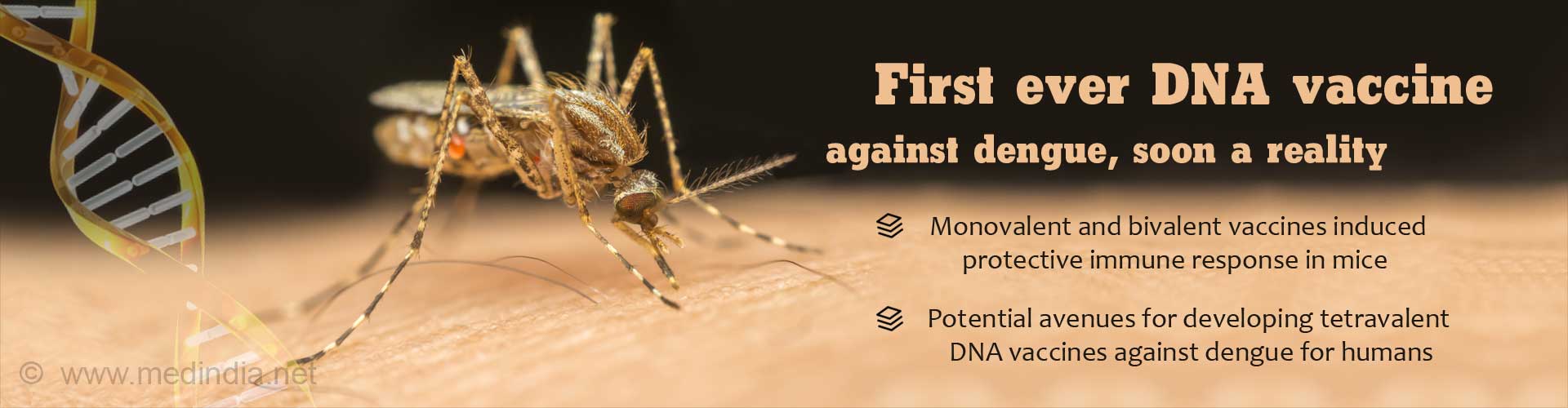 Human Tetravalent DNA Vaccines Against Dengue Soon to be a Reality