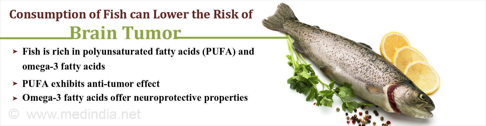 Association Between Fish Intake and Risk of Brain Tumor: A Meta-Analysis With Systematic Review