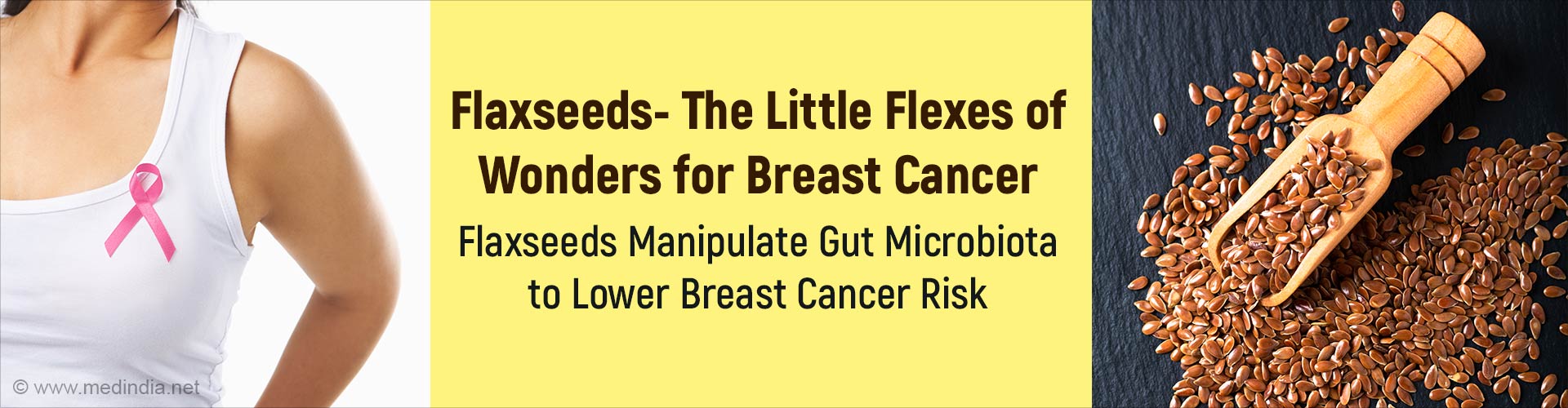 How Flaxseed Influences Gut Health & Lowers Breast Cancer Risk?