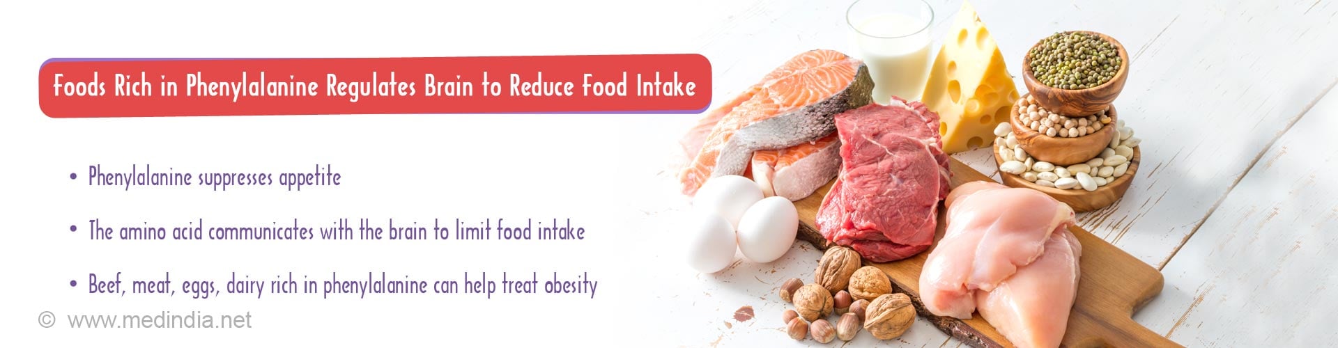 Beef, Meat, Soya Rich Diet Regulates Brain To Reduce Food Intake