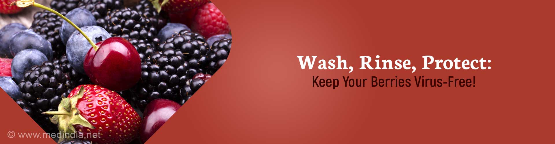 How Norovirus and Hepatitis-A Can Linger in Frozen Berries