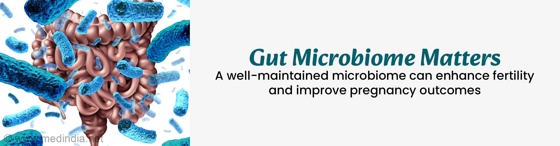 How Your Microbiome Affects Menstruation and Pregnancy