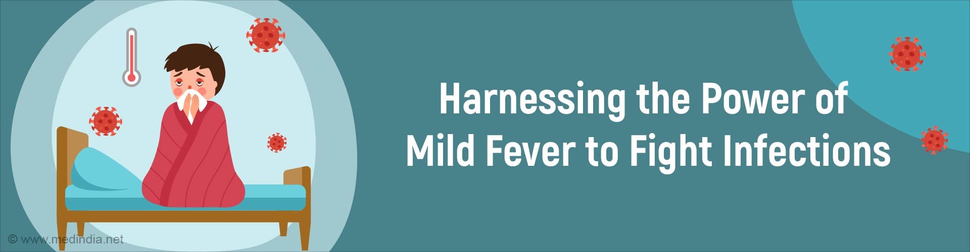 Mild Fever: A Natural Mechanism to Fight Infections