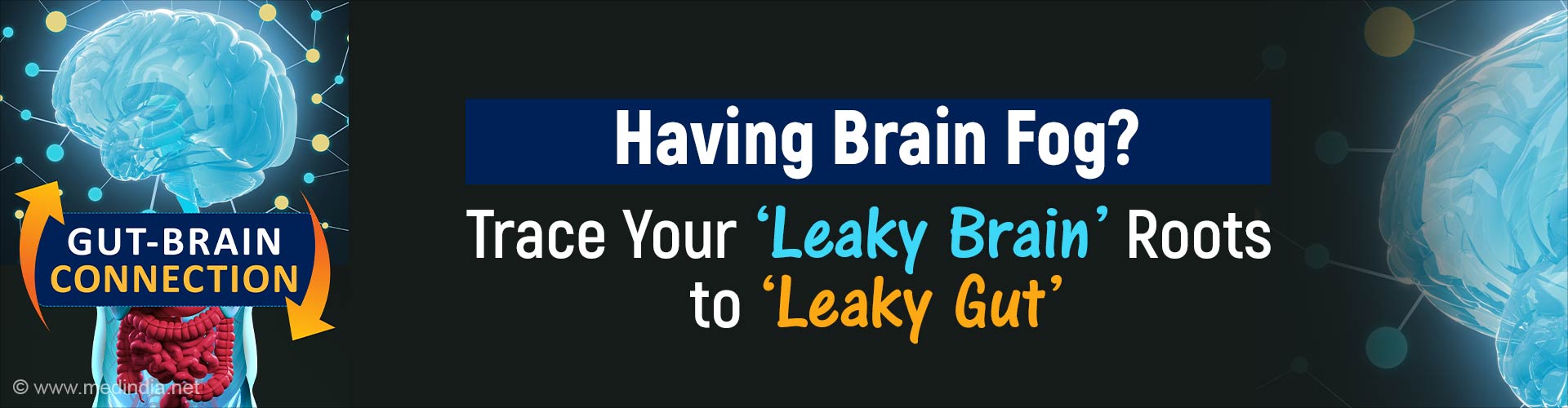 From Leaky Gut to Leaky Brain- What is the Link?