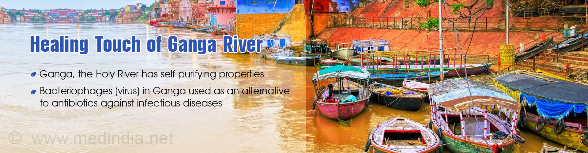 Purity of Ganga River - A Scientific Approach