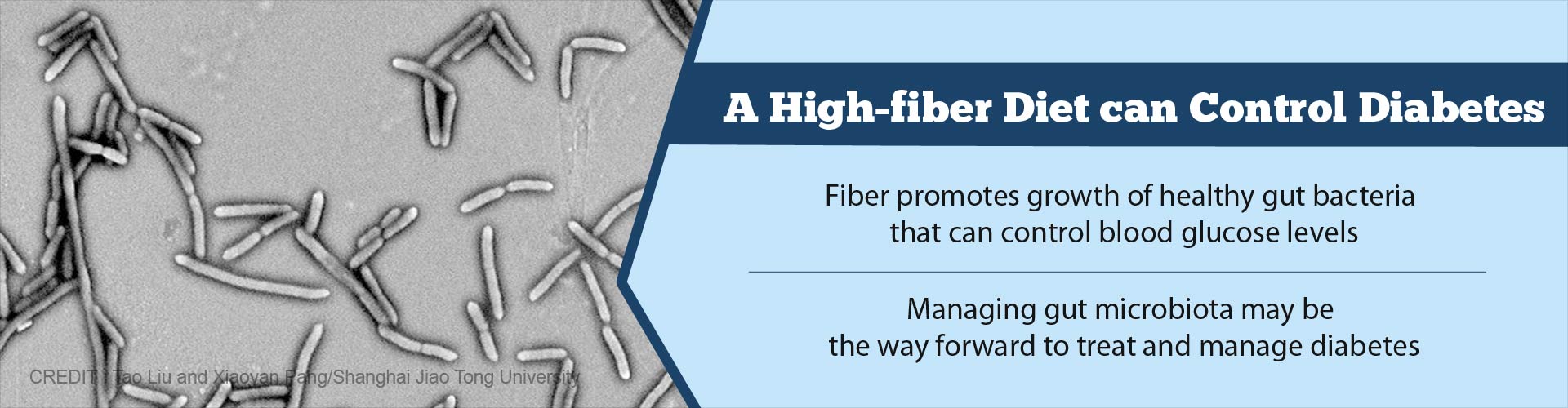 High-fiber Diet may Help Treat Type 2 Diabetes