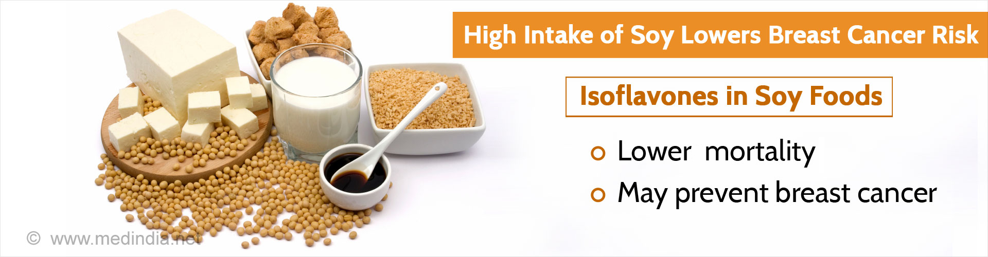 Dietary Soy Intake Lowers Breast Cancer Risk