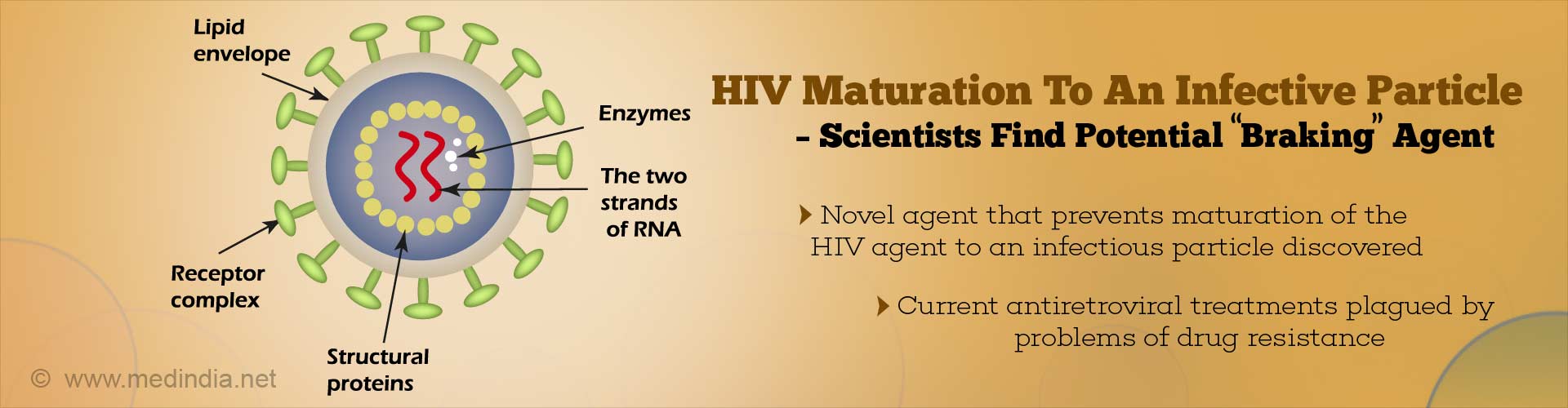 Novel Drug That Prevents HIV From Developing Into Infectious Particle Discovered