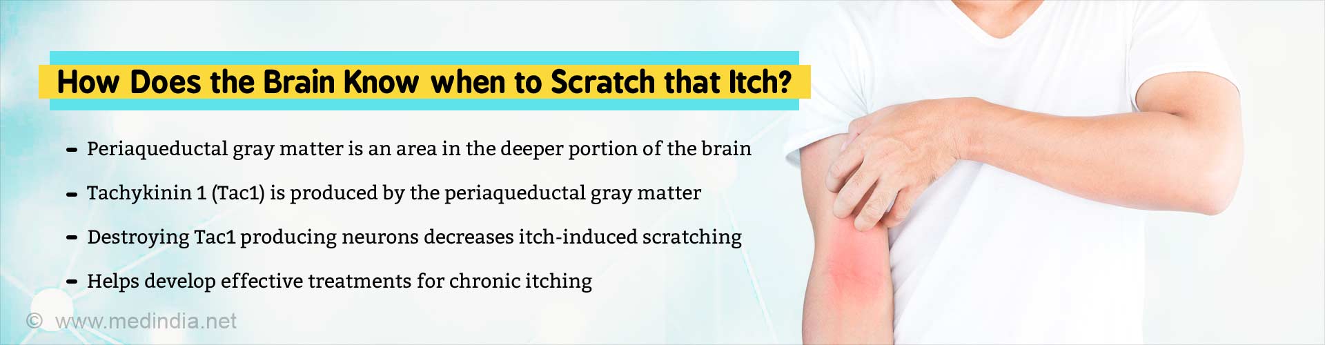 Scratch That Itch: Brain Mechanism Identified