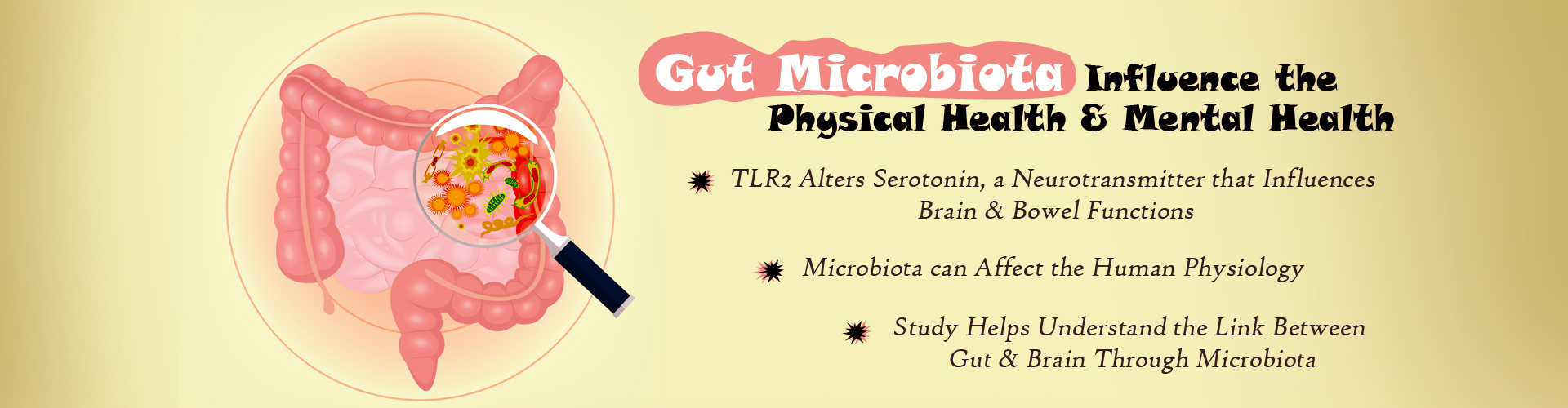 How Gut Microbes Influence Brain Functions