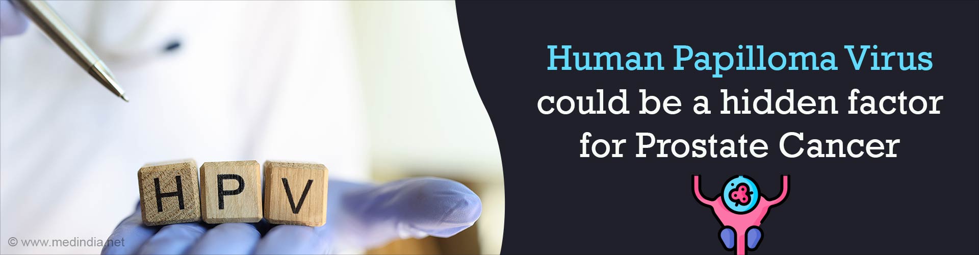 Is HPV Infection a Concealed Risk Factor for Prostate Cancer?