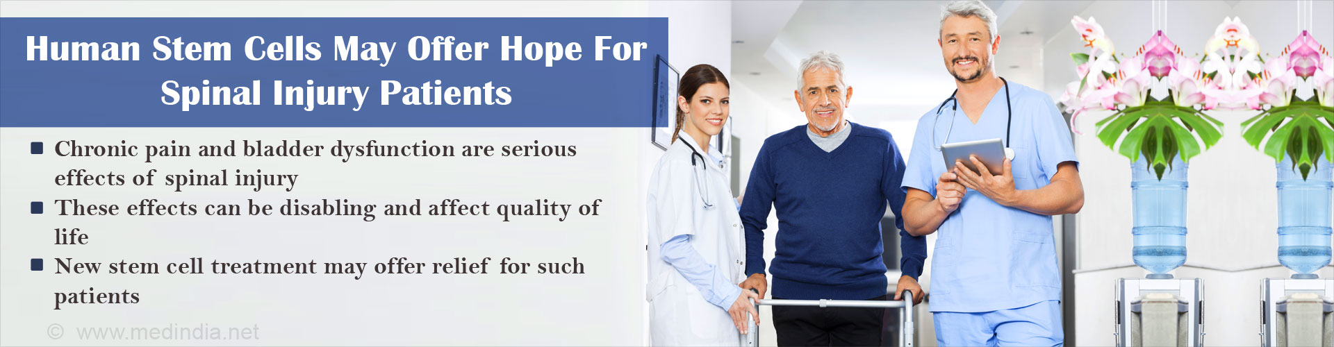 Human Stem Cells May Enhance Quality Of Life In Spinal Injury Patients Human Stem Cells May Enhance Quality Of Life In Spinal Injury Patients