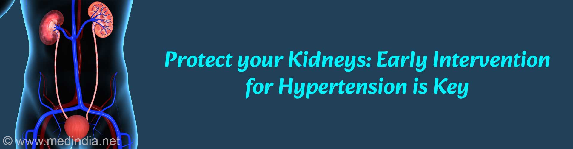 Hypertension Triggers Early Kidney Damage, Study Finds