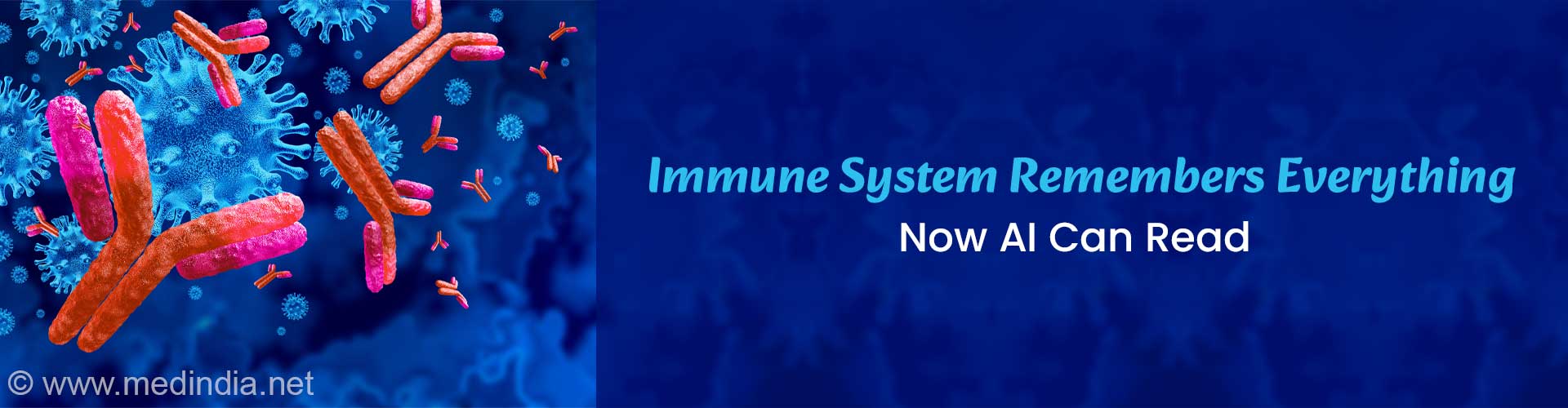 Faster, Accurate Diagnoses With the Diagnostic Immunome