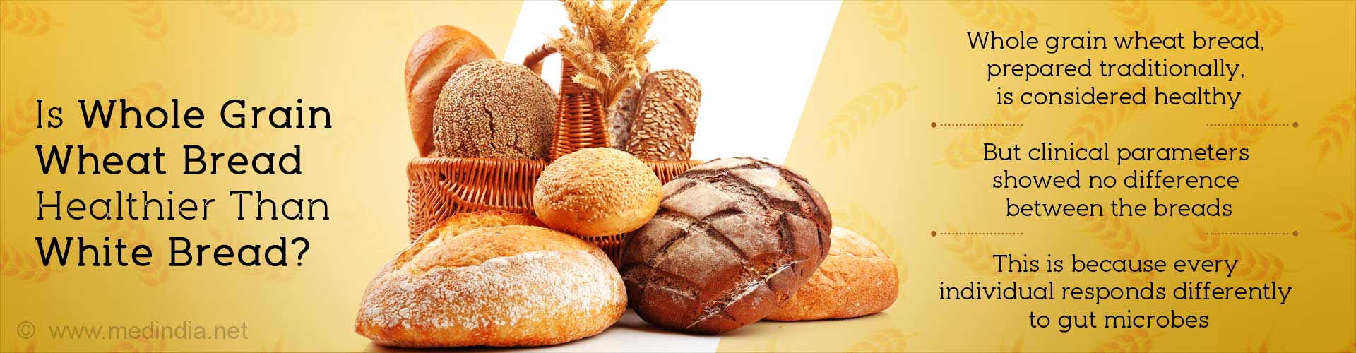 Which Bread is Healthier? White or Wheat ?