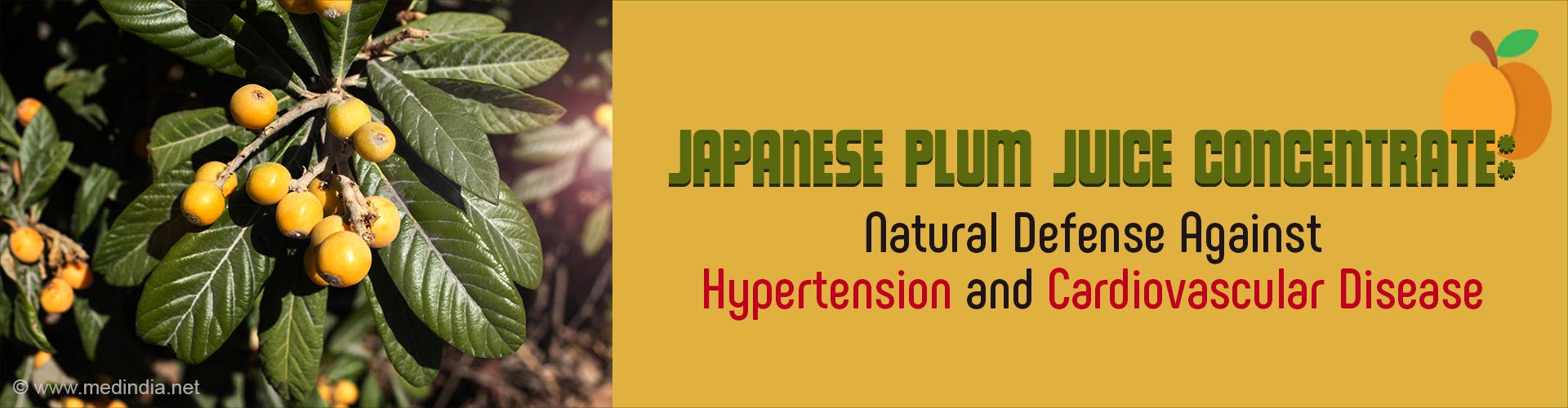 Japanese Fruit Juice Concentrate Improves Cardiovascular Health