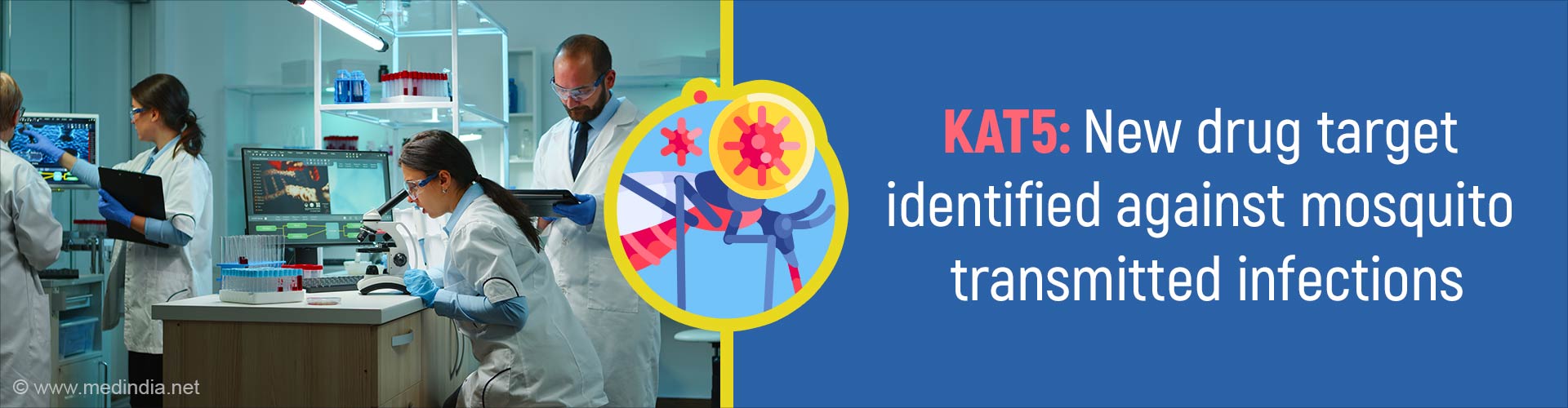 Combating Mosquito Transmitted Viruses: New Drug Targets Identified