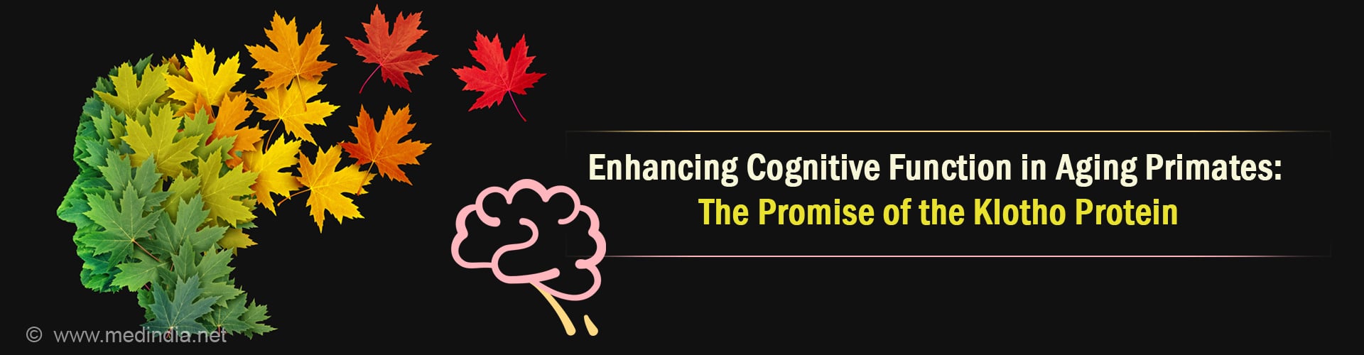 Can the Klotho Protein Unlock the Secrets of Ageless Minds and Longevity?