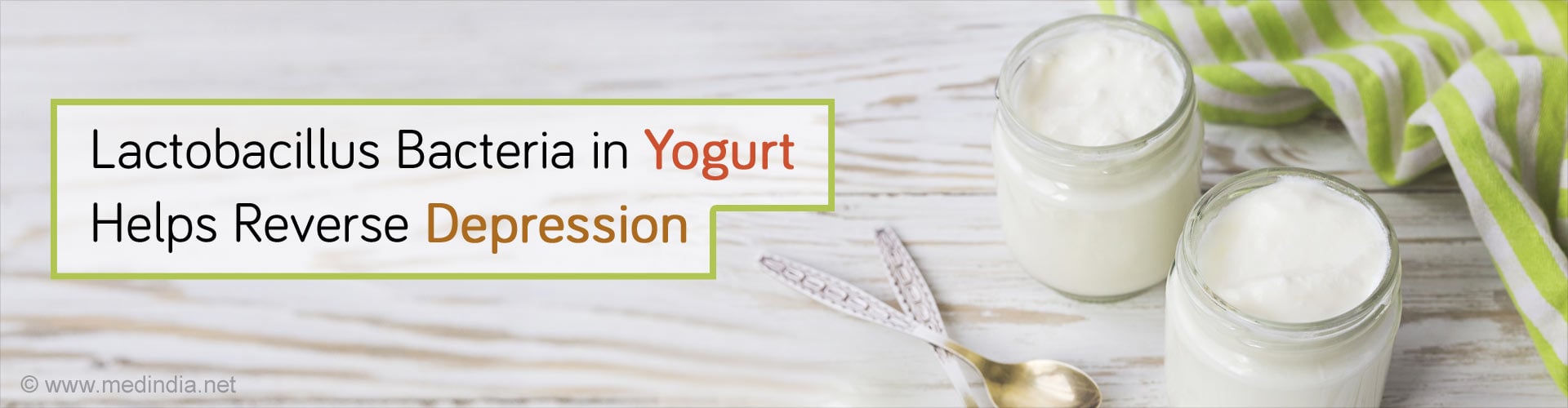 Bacteria in Yogurt May Reverse Depression