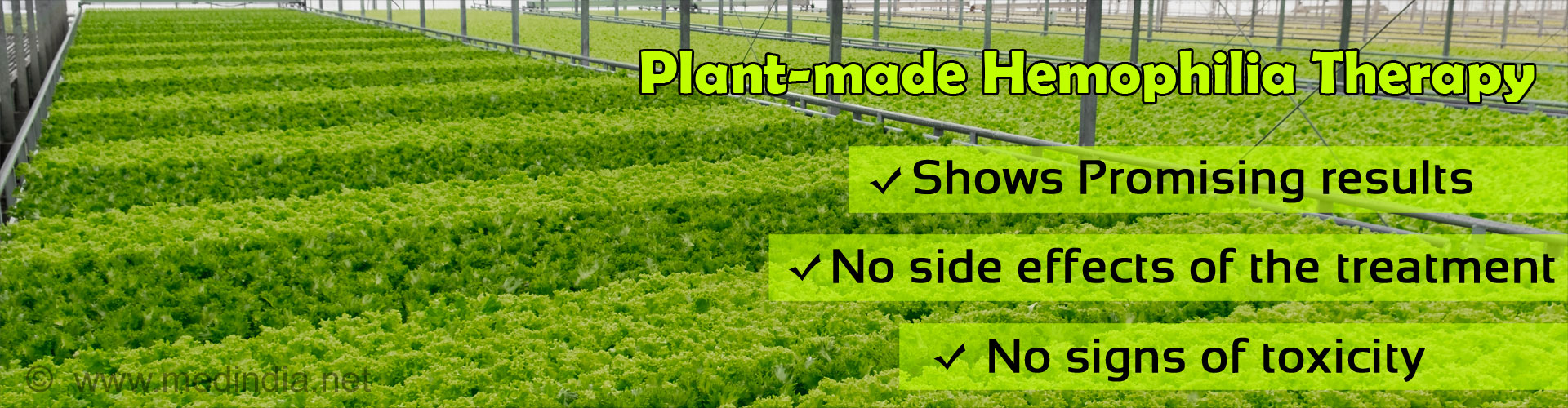 Plant-made Therapy for Hemophilia Treatment