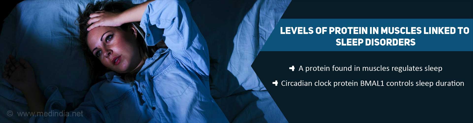 Muscle Protein Holds Key To Certain Sleep Disorders