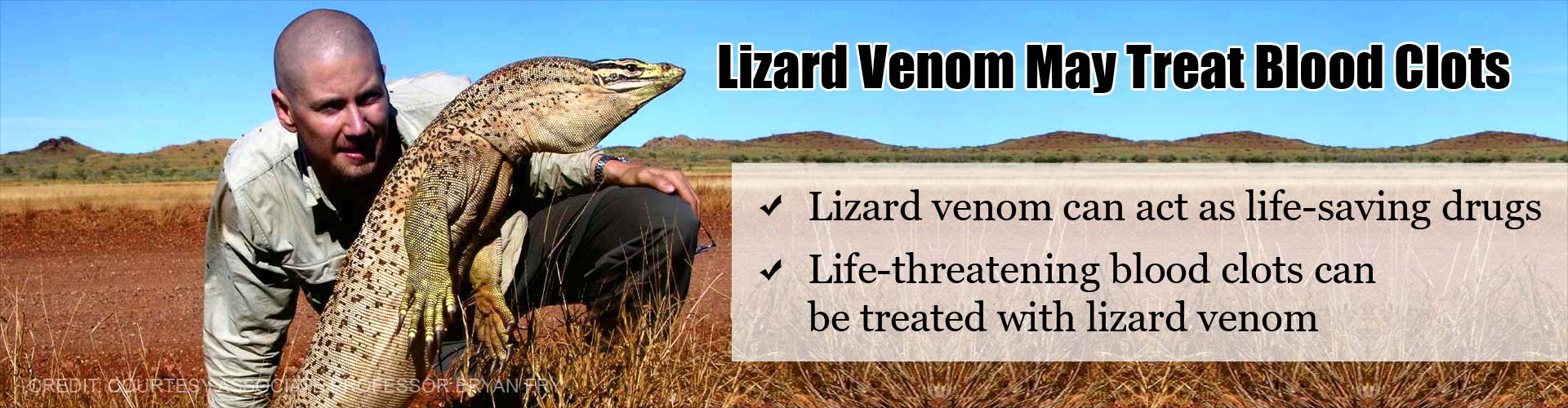 Blood Clots Can Be Treated With Lizard Venom