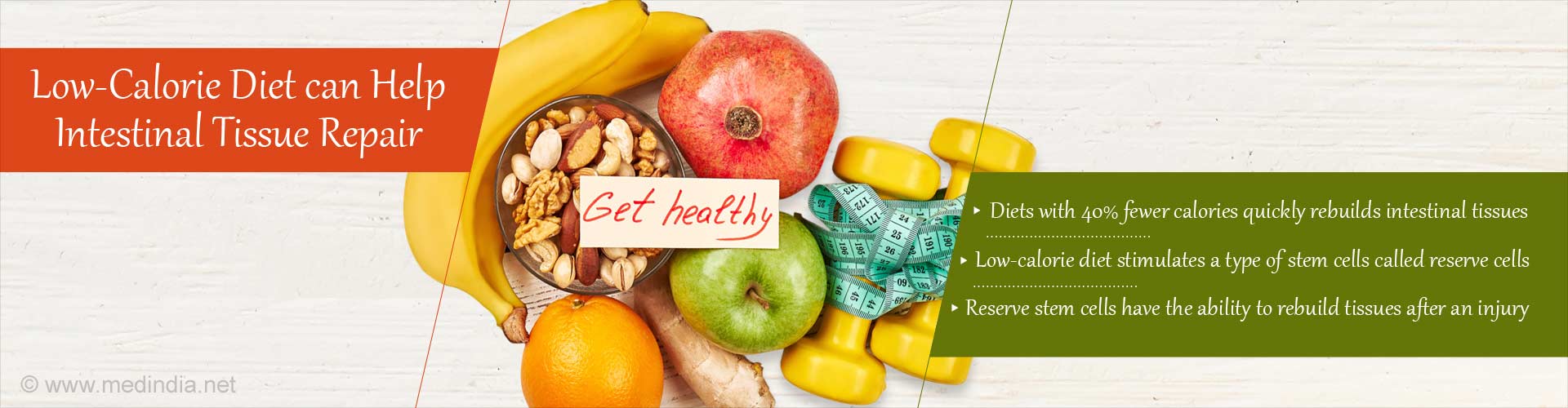 Low-Calorie Diets Rebuild Intestinal Tissues After Injury Low-Calorie Diets Rebuild Intestinal Tissues After Injury