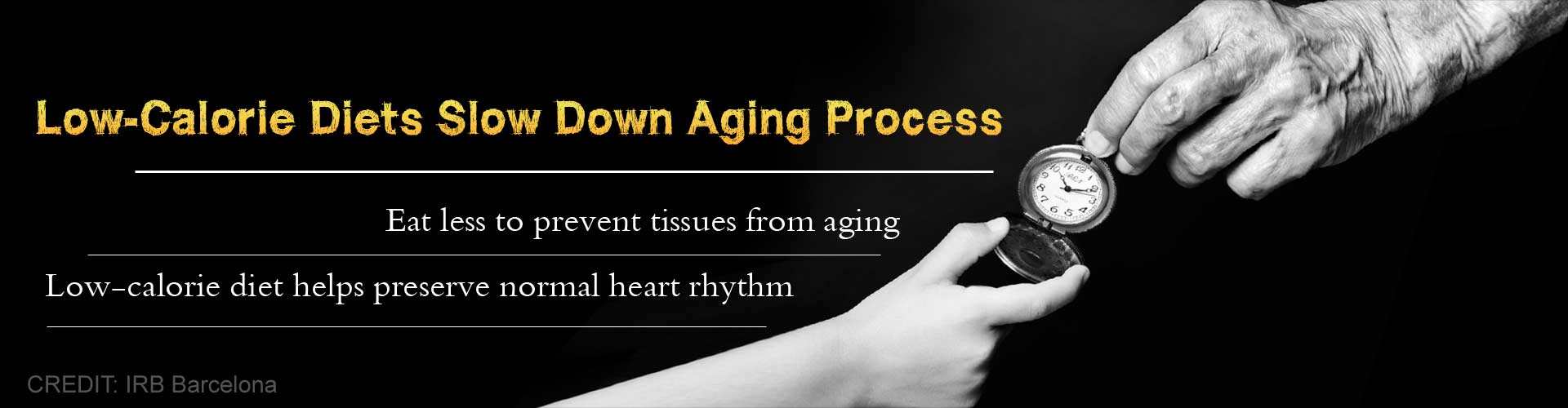 Low-Calorie Diet May Help Keep The Body Young